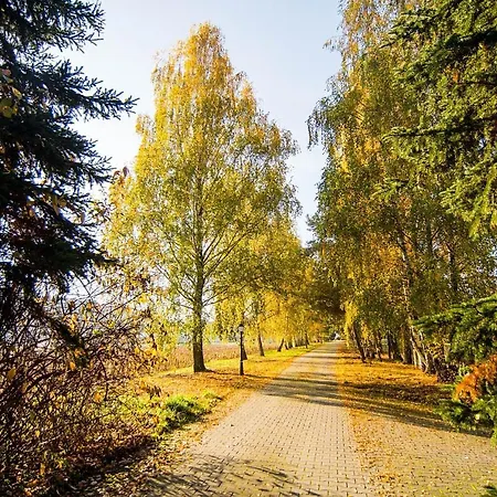 Barczyzna 4*